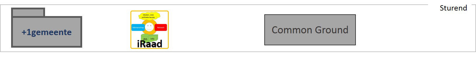CCoverheid samenhang concepten  sturend